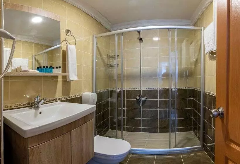 Fotos del hotel Stone Hotel Istanbul:  5