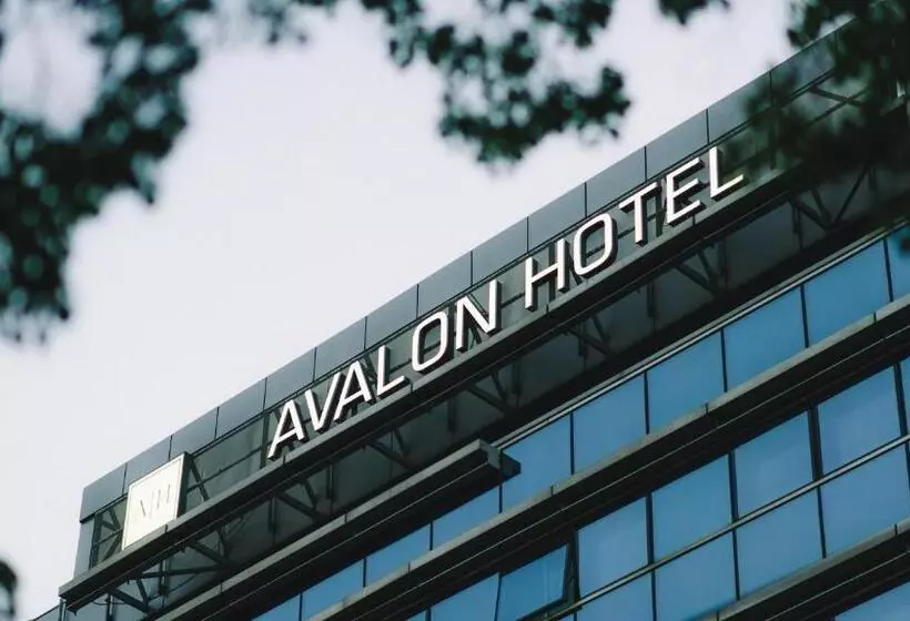 Fotos del hotel Avalon  & Conferences:  5