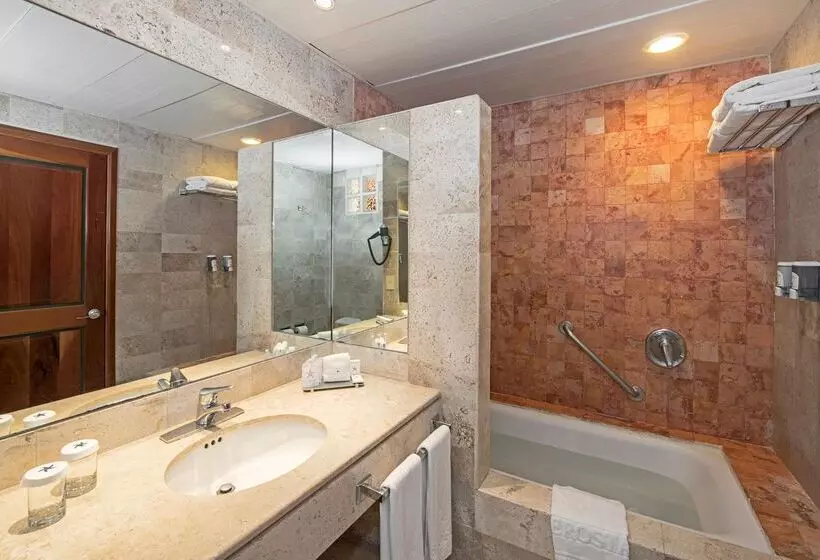 Fotos del hotel Iberostar Paraiso Beach:  24