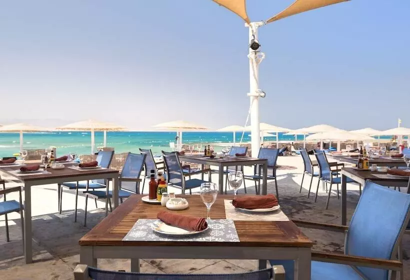 Fotos del hotel Barceló Tiran Sharm Resort:  82