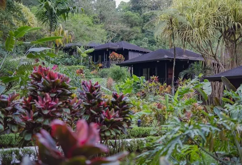Fotos del hotel Lomas Del Volcan:  17