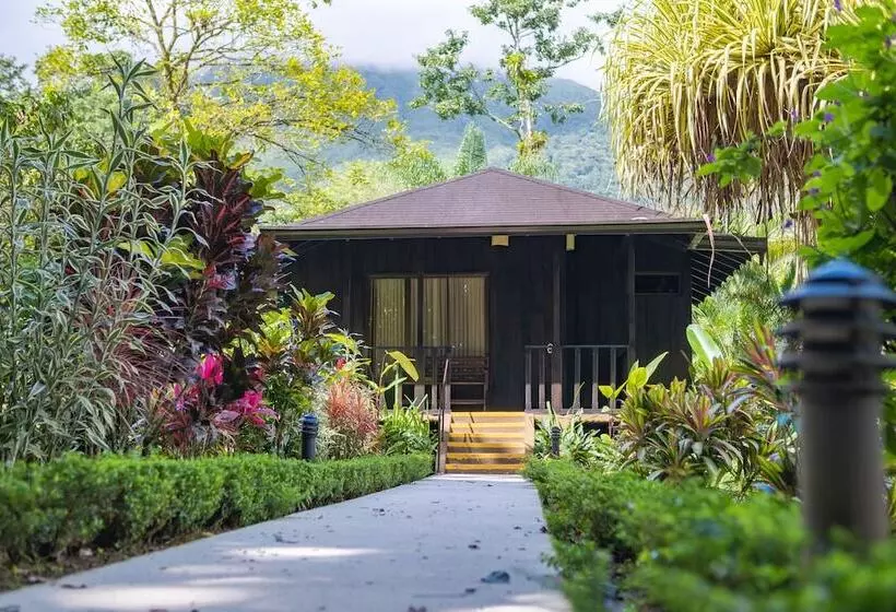 Fotos del hotel Lomas Del Volcan:  22