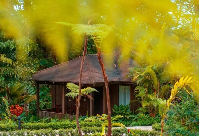 Fotos del hotel Lomas Del Volcan:  21