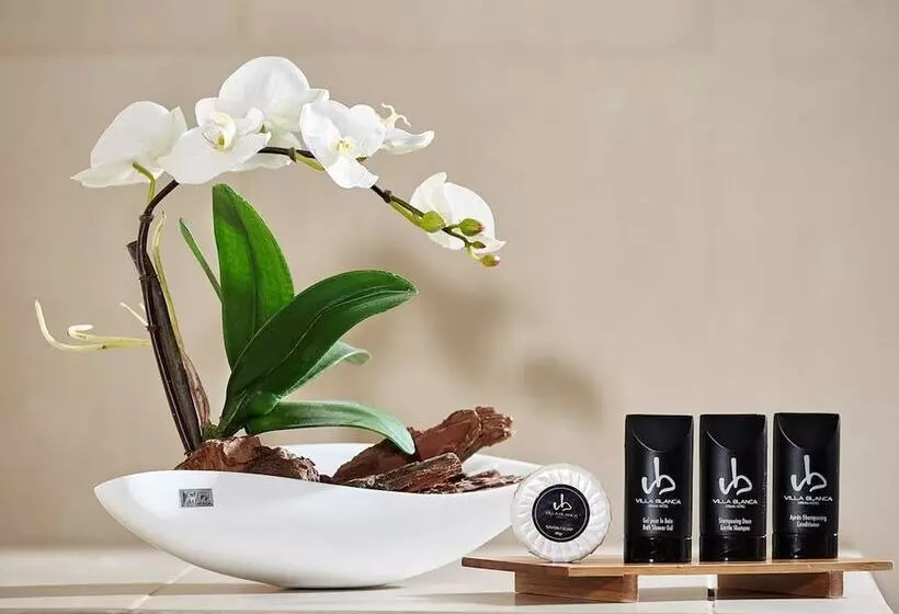 Fotos del hotel Villa Blanca Urban:  27