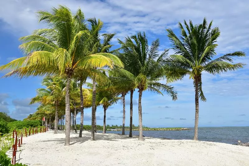 Fotos del hotel Hacienda Tres Rios Resort Spa & Nature Park - All Inclusive:  24