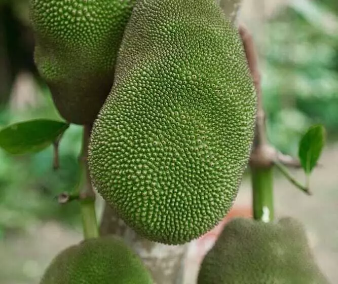 Fotos del hotel The Ritz-carlton Sanya, Yalong Bay:  4