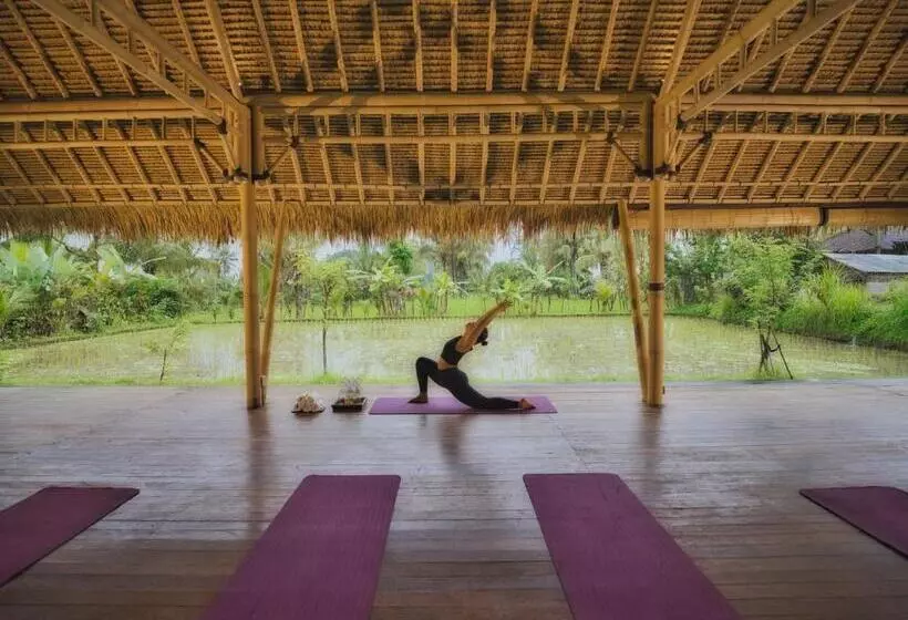 Fotos del hotel Nandini Jungle Resort & Spa Bali:  14