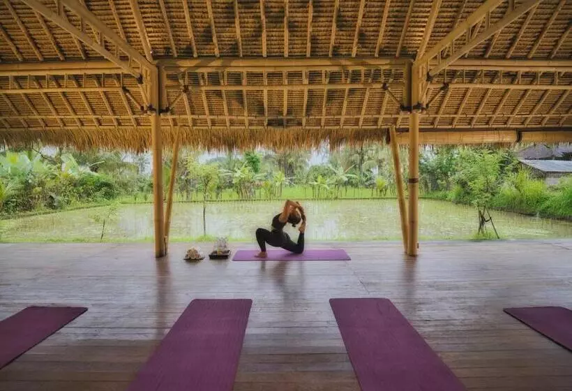 Fotos del hotel Nandini Jungle Resort & Spa Bali:  17