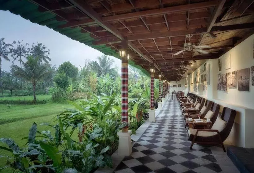 Fotos del hotel Nandini Jungle Resort & Spa Bali:  23