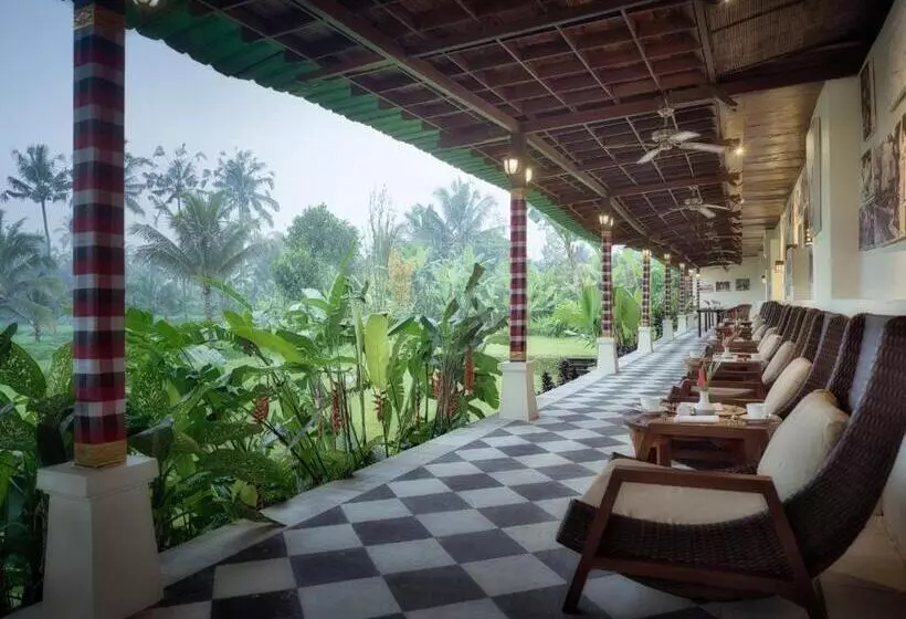 Fotos del hotel Nandini Jungle Resort & Spa Bali:  3