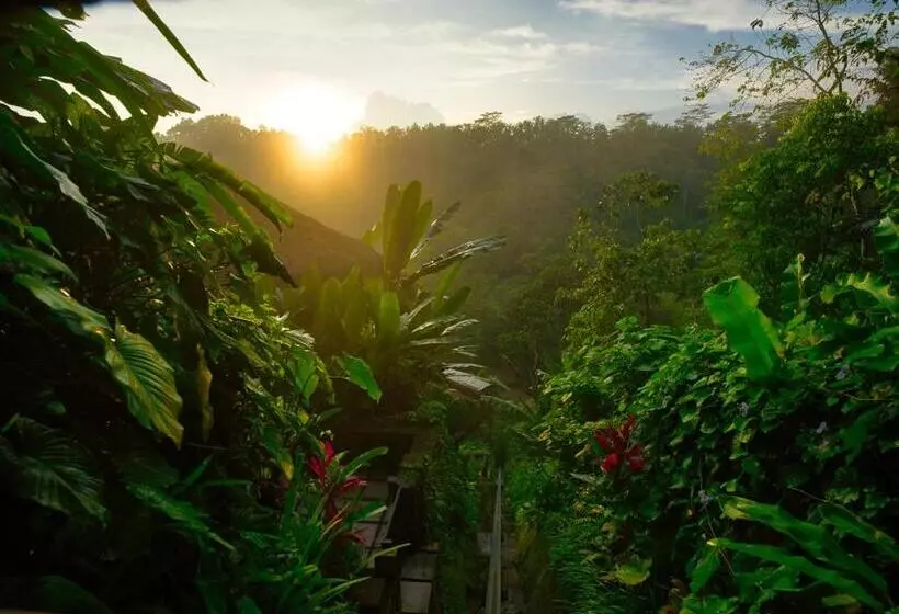 Fotos del hotel Nandini Jungle Resort & Spa Bali:  5