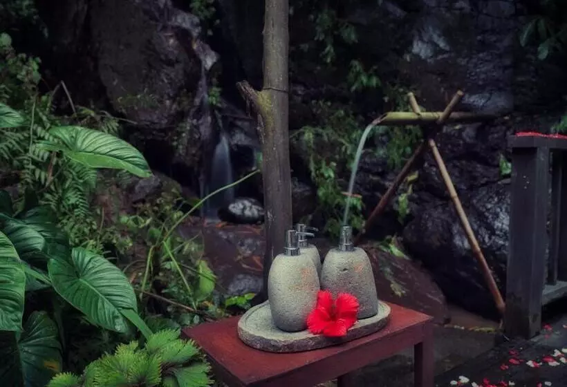 Fotos del hotel Nandini Jungle Resort & Spa Bali:  11