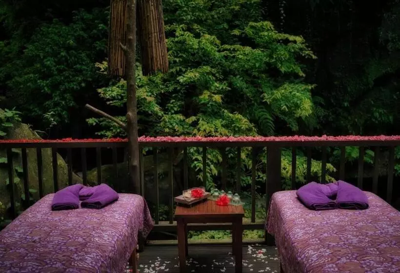 Fotos del hotel Nandini Jungle Resort & Spa Bali:  7