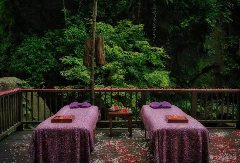 Fotos del hotel Nandini Jungle Resort & Spa Bali:  24