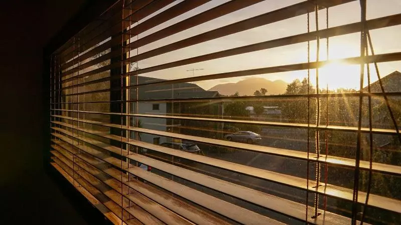 Fotos del hotel Punga Grove:  16