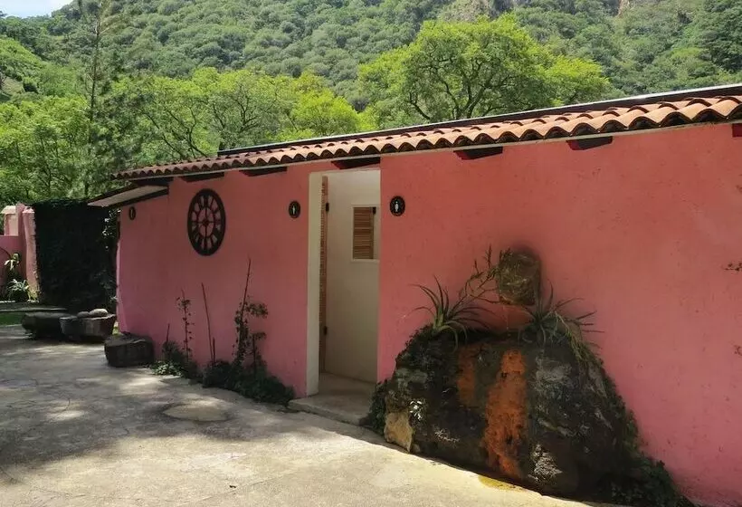 Fotos del hotel Agua Blanca:  7
