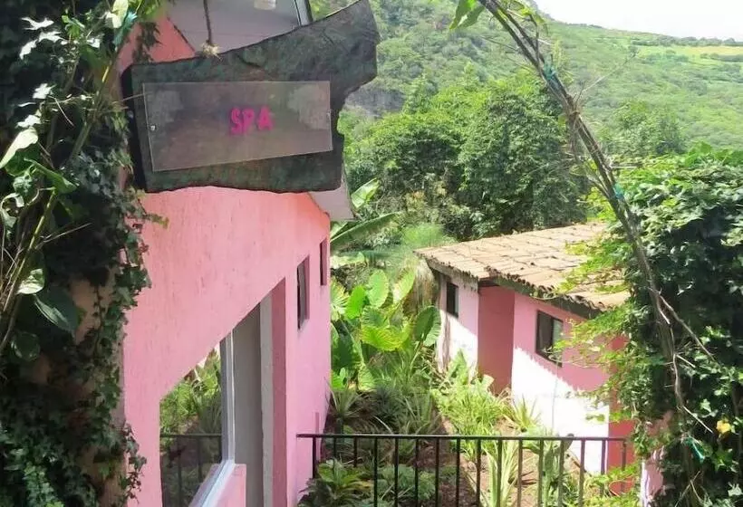 Fotos del hotel Agua Blanca:  12