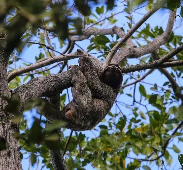 Fotos del hotel Albrook Inn:  2