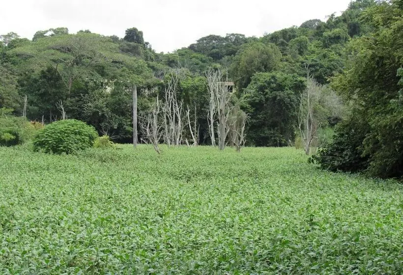 Fotos del hotel Albrook Inn:  15