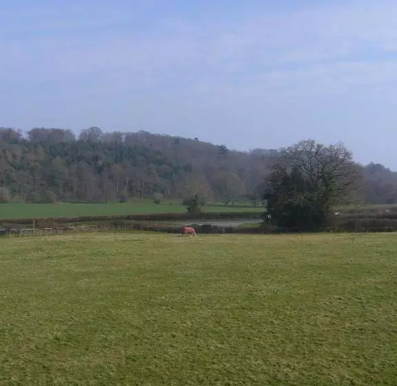 Fotos del hotel Mill Farm:  10