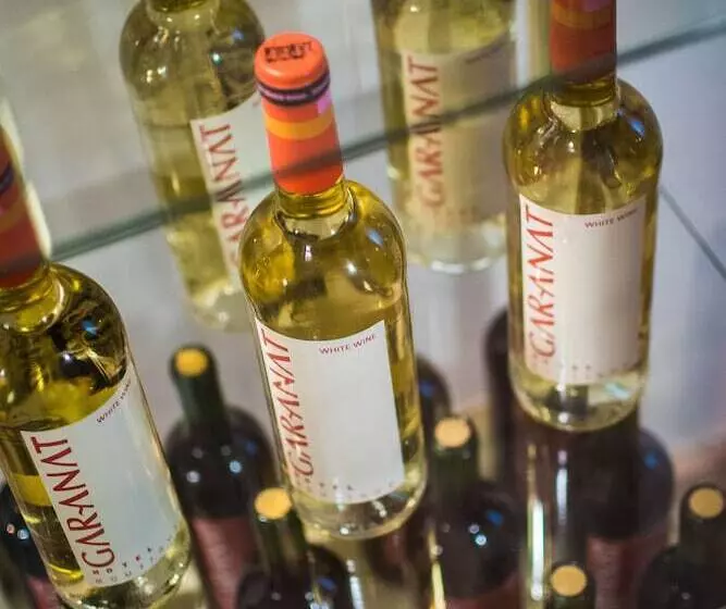 Fotos del hotel Gar Anat Hotel Boutique:  9