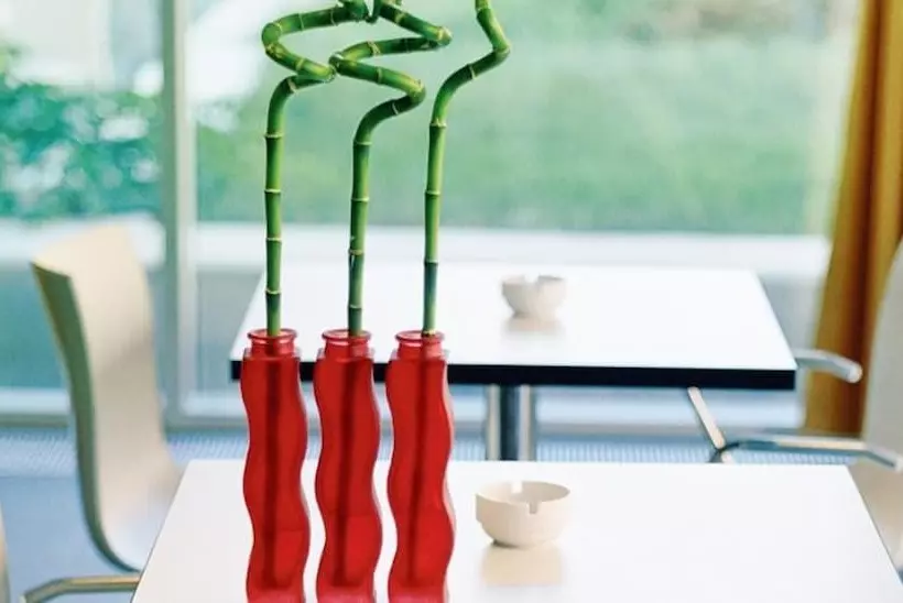 Fotos del hotel Kyriad Vienna Altmannsdorf:  11