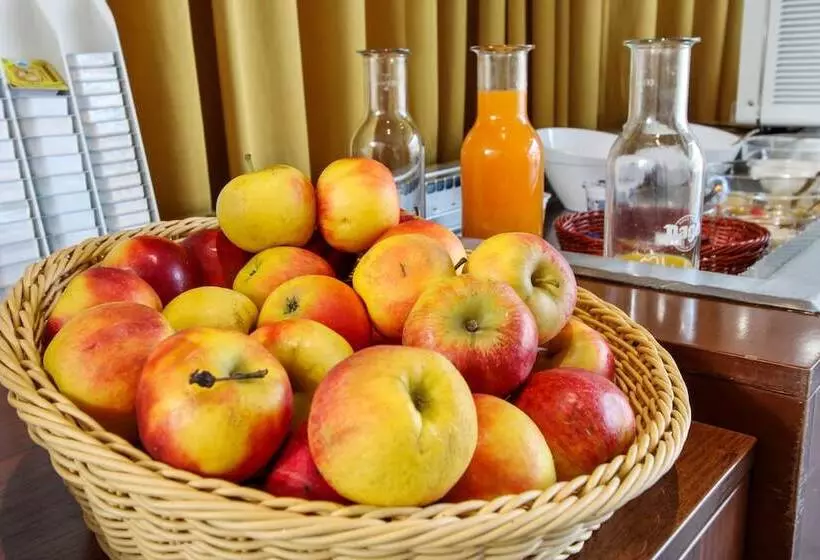 Fotos del hotel Kyriad Vienna Altmannsdorf:  6