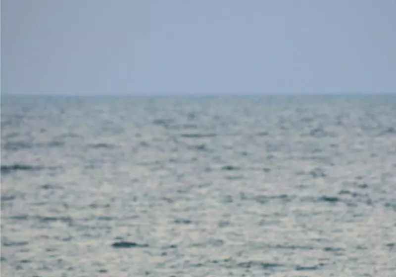 Fotos del hotel Ravindra Beach Resort & Spa:  15