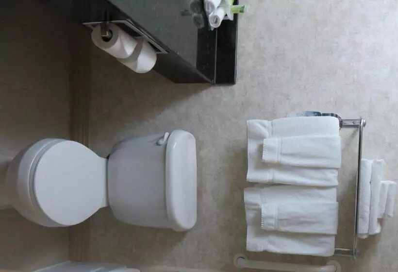 Fotos del hotel Holiday Inn Express  & Suites Ottawa Airport, An Ihg:  13