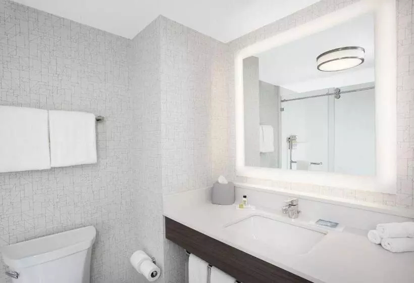 Fotos del hotel Holiday Inn Express  & Suites Ottawa Airport, An Ihg:  9