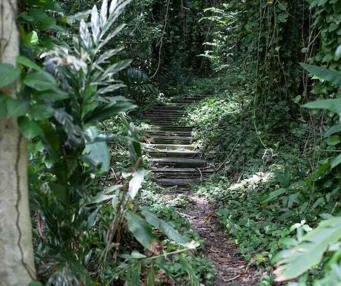 Fotos del hotel Frenchman's Cove Resort:  10