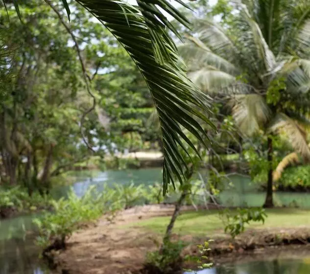 Fotos del hotel Frenchman's Cove Resort:  13