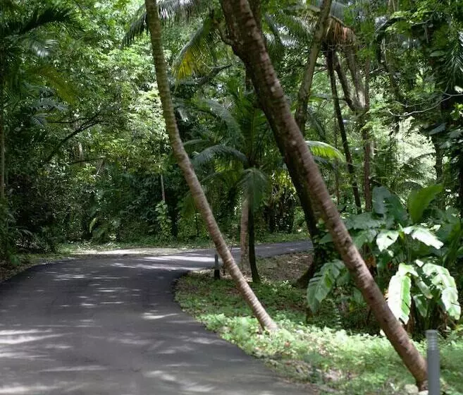 Fotos del hotel Frenchman's Cove Resort:  25