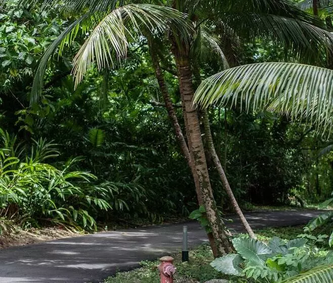 Fotos del hotel Frenchman's Cove Resort:  23