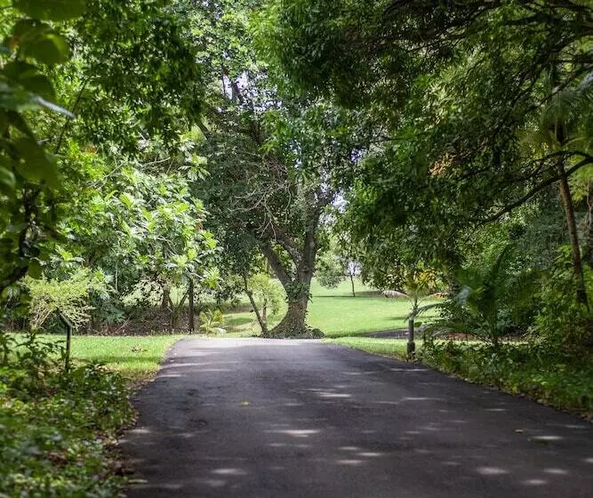 Fotos del hotel Frenchman's Cove Resort:  24