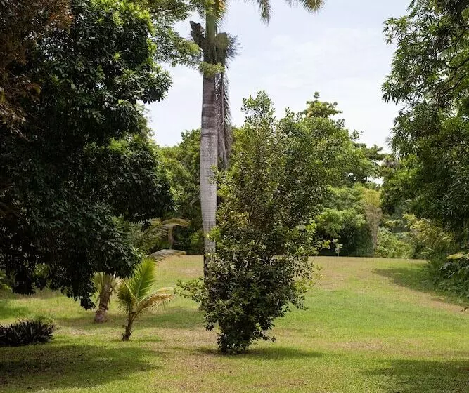 Fotos del hotel Frenchman's Cove Resort:  15