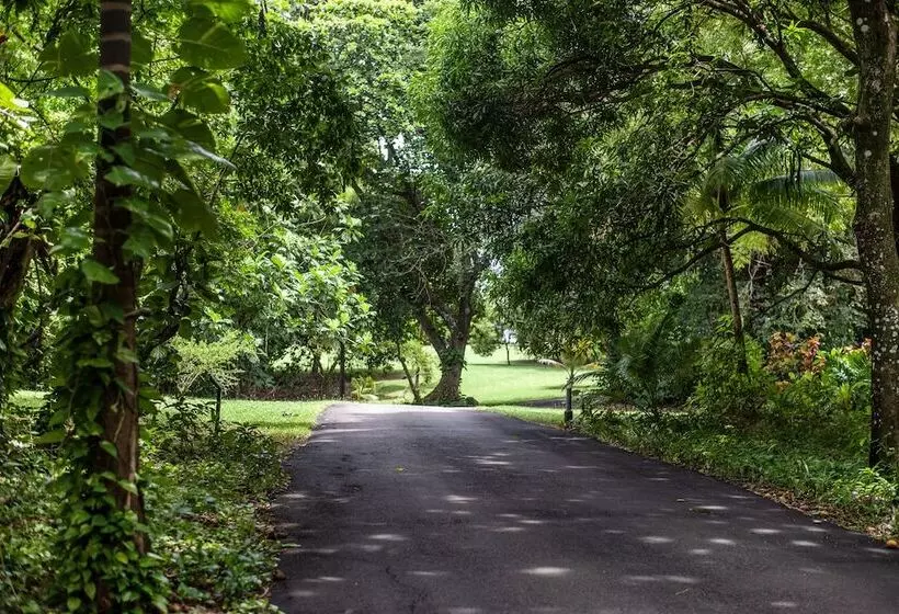 Fotos del hotel Frenchman's Cove Resort:  21