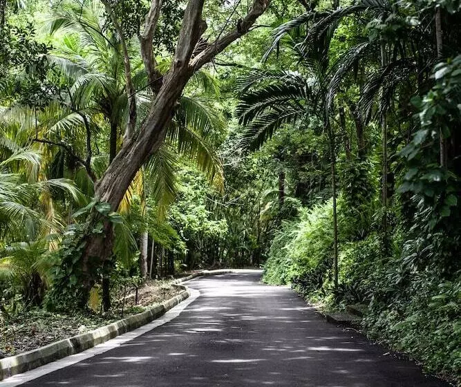 Fotos del hotel Frenchman's Cove Resort:  22