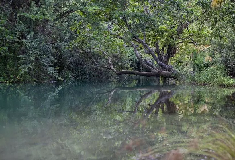 Fotos del hotel Frenchman's Cove Resort:  8