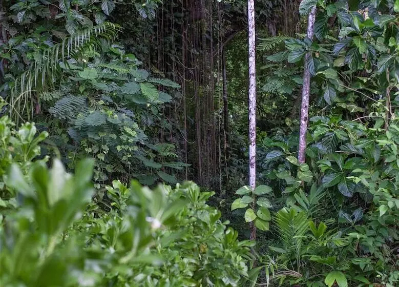 Fotos del hotel Frenchman's Cove Resort:  20