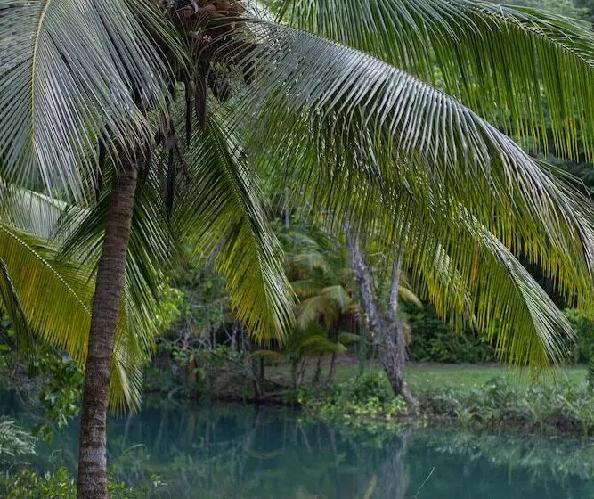 Fotos del hotel Frenchman's Cove Resort:  16