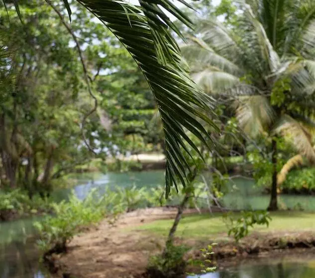 Fotos del hotel Frenchman's Cove Resort:  11