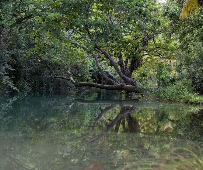 Fotos del hotel Frenchman's Cove Resort:  6