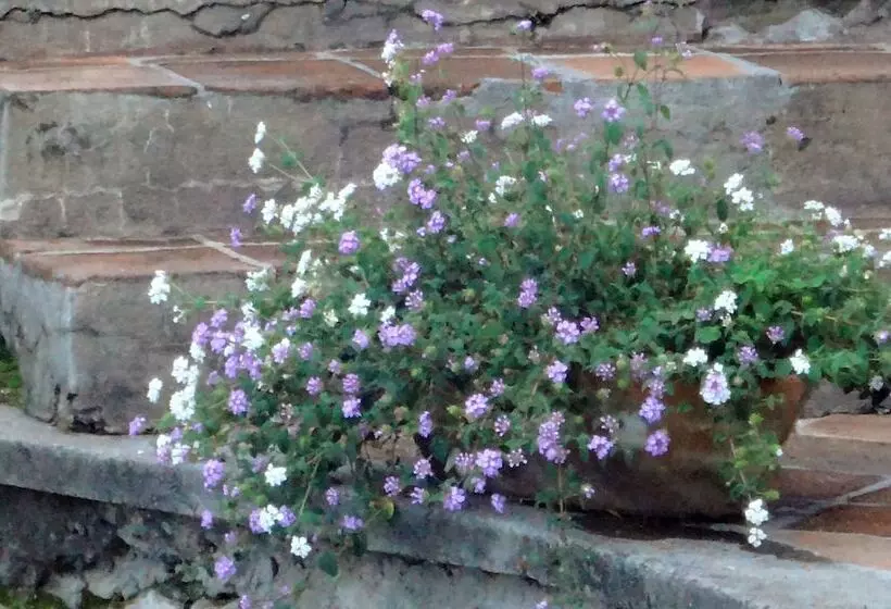 Fotos del hotel Ilebal:  5