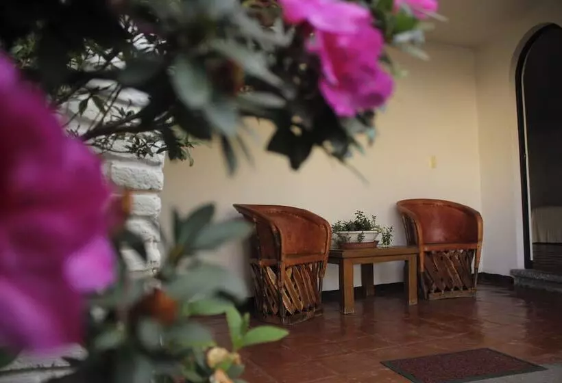 Fotos del hotel Ilebal:  22