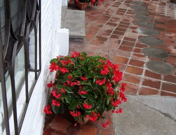 Fotos del hotel Ilebal:  23