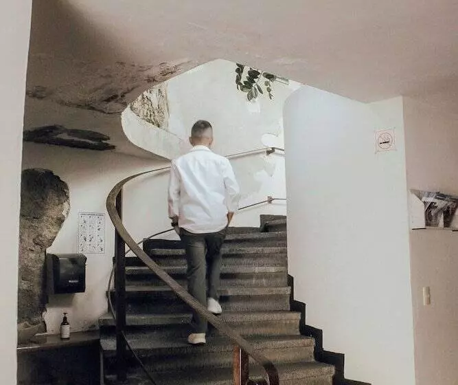 Fotos del hotel Ilebal:  10