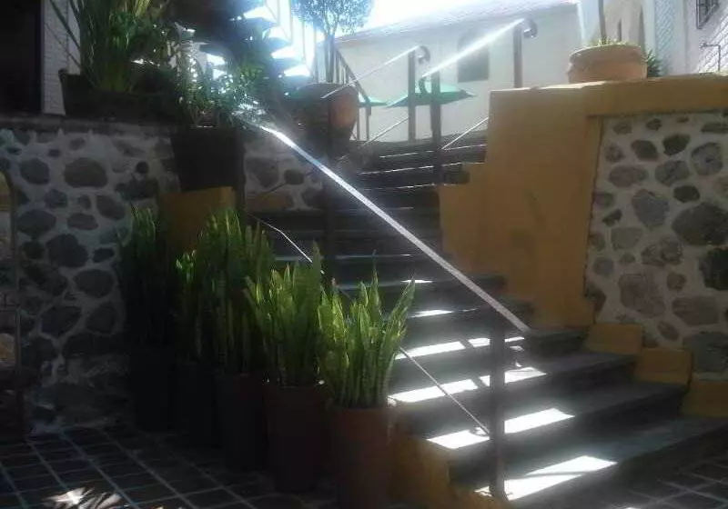 Fotos del hotel Ilebal:  20