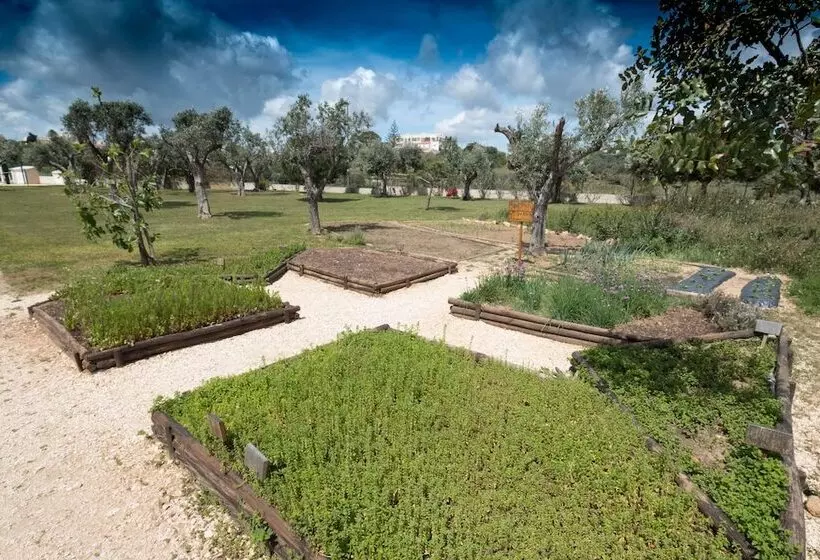 Fotos del hotel Vila Gale Lagos:  10