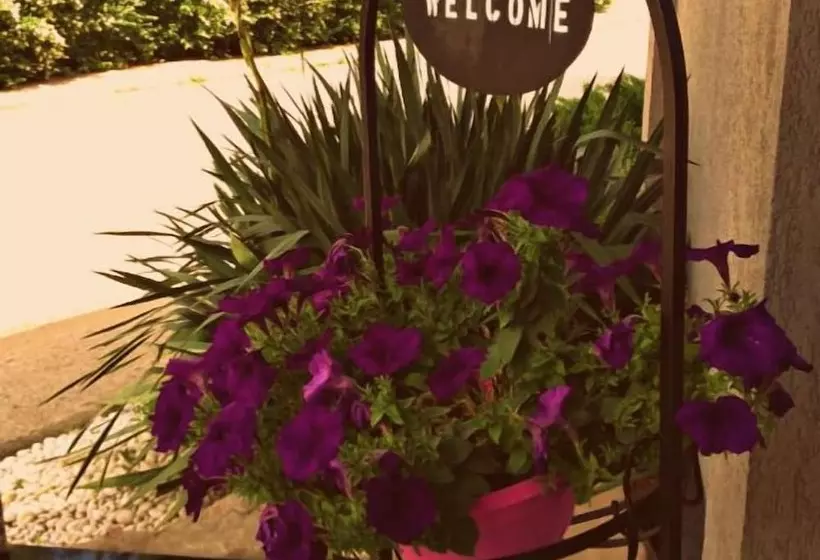 Fotos del hotel Octagon:  16